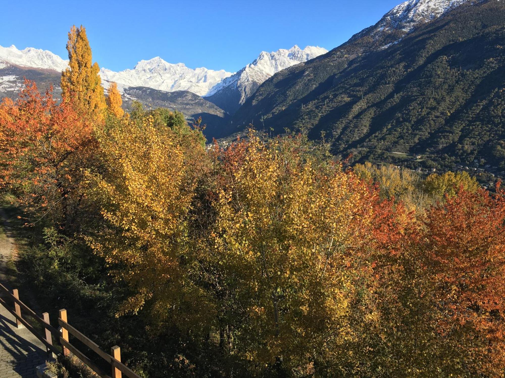 Appartamento La Casa Del Bosco Aosta Esterno foto